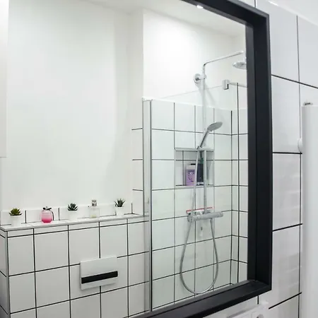 Private Zizkov Homestay *